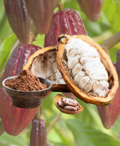 Cacao Powder